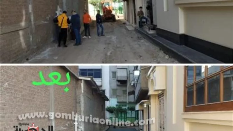 رصف شارع المزارع وتفرعاته بمنية دمياط بالبلاطات الخرسانية