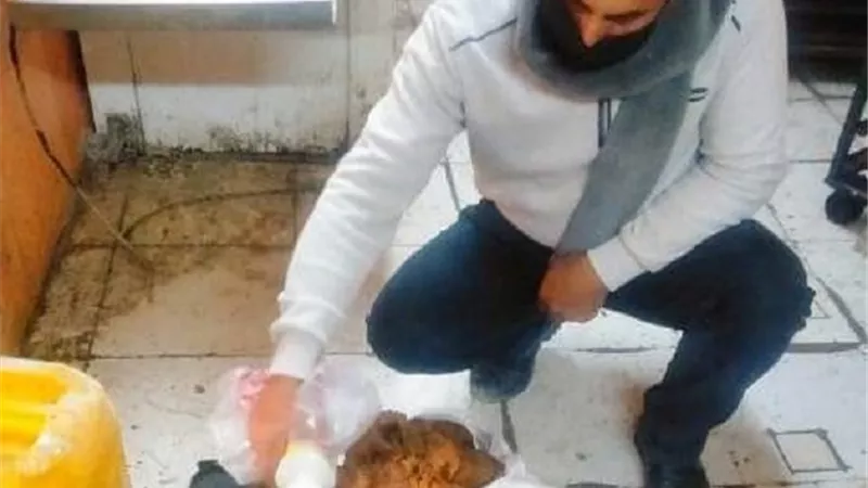إعدام 908 كجم أغذية فاسدة وضبط 5 منشآت غذائية تعمل بدون ترخيص بأولاد صقر والقنايات