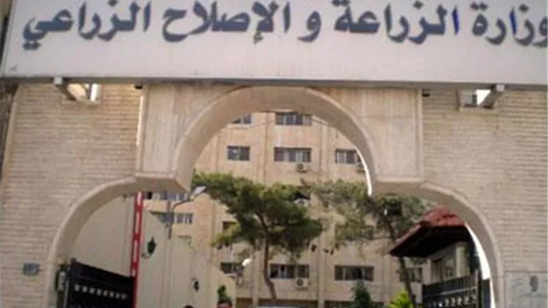 وزير الزراعة يكلف كافة اجهزة الوزارة بمتابعة آثار التقلبات المناخية على الانشطة الزراعية بالمحافظات