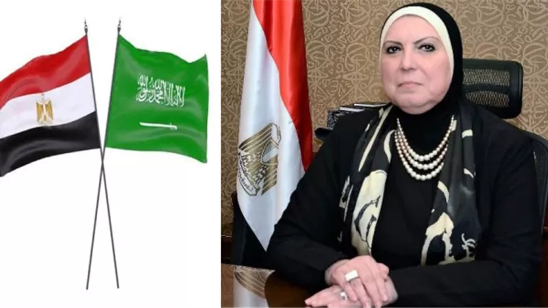 القاهرة تستضيف أعمال الدورة الـ17 للجنة المشتركة العام الجارى