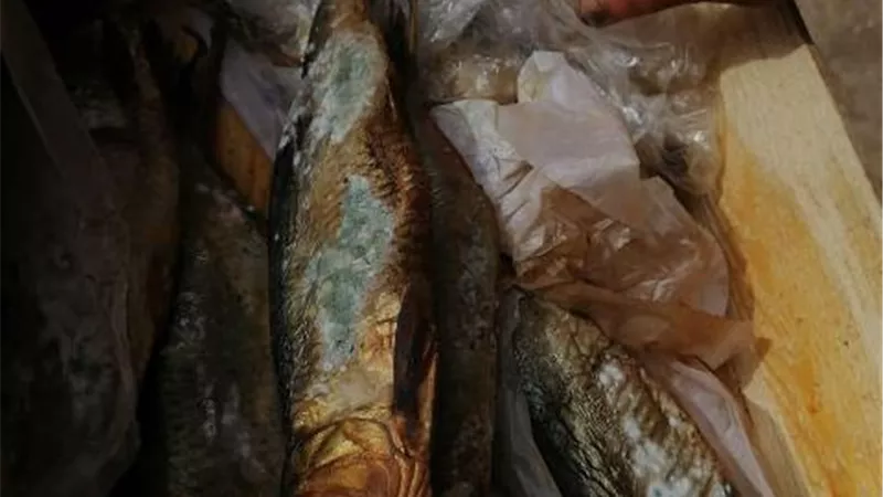 ضبط أطنان من المواد الغذائية الفاسدة فى حملة صحية بالدقهلية
