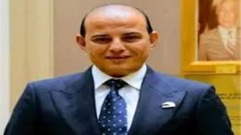 عمرو القطامي: شائعات الخبز تهدف إلى إثارة الفوضى والتشكيك في الحكومة