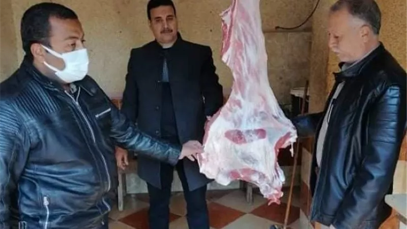 ضبط ١٢٠ كيلو لحوم للذبح خارج السلخانة فى حملة تموينية فى الدقهلية.. بالصور