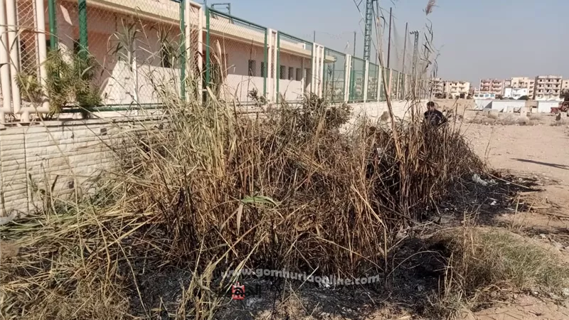 بالصور والمستندات انشط مركز شباب بالعاشر من رمضان يعانى من خطر برك الصرف الصحى