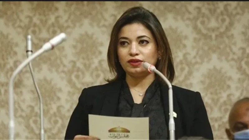 نانسى نعيم: تامر أمين يسير ضد الدولة المصرية بإساءته لأهالى الصعيد.. فيديو