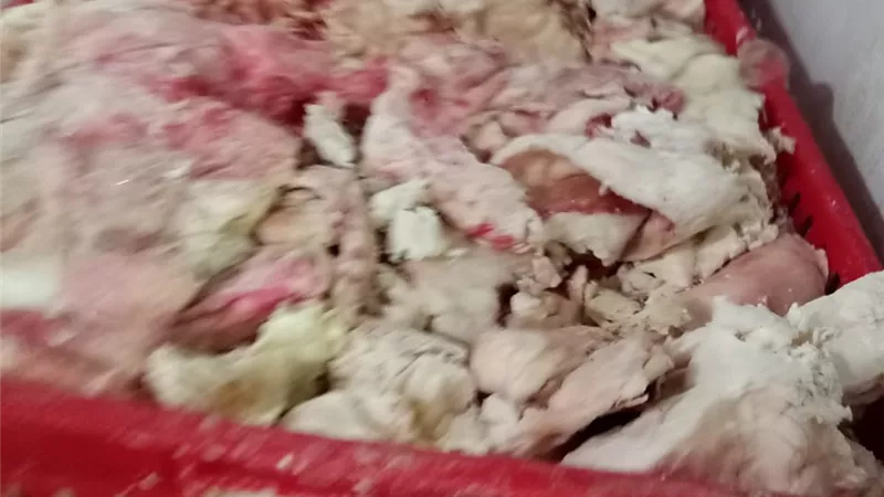 الجيزة تضبط 3 طن لحوم مجمدة ومفروم دواجن غير صالحة للاستخدام الادمي