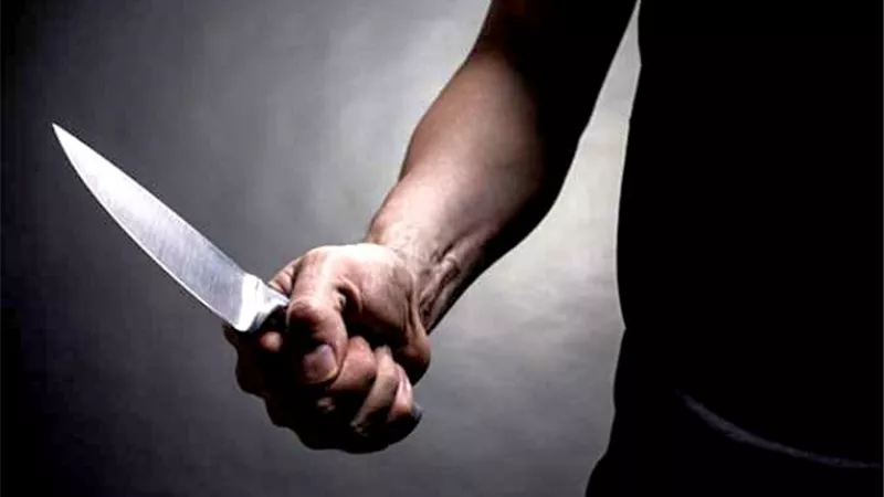 الاربعة قتلوا بائع الخضار بسكين وقطعة حديد.. وسقطوا فى يد الامن بالوادى الجديد