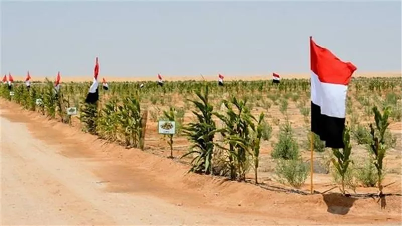 الديهي: السيسي حول تنمية سيناء النظرية لواقع