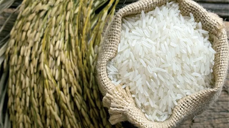 «غرفة صناعة الحبوب»: 440 ألف طن حجم الطلب على الأرز خلال شهر رمضان