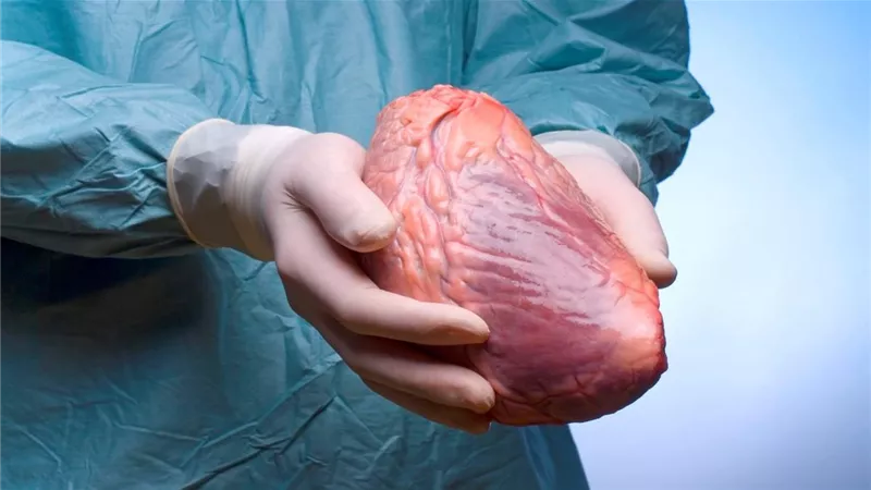 تقنيات تكنولوجية جديدة تنهى قوائم انتظار جراحات زراعة القلب
