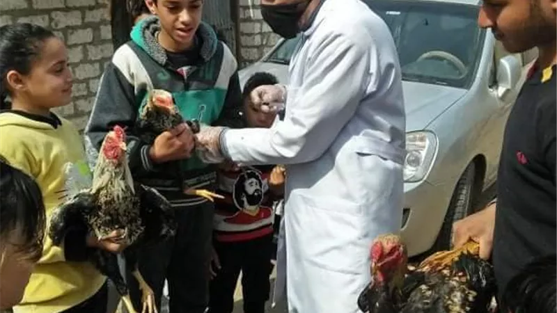 جامعة الزقازيق تنفذ قافلة بيطرية بعزبة عارف الكبيرة بالزقازيق