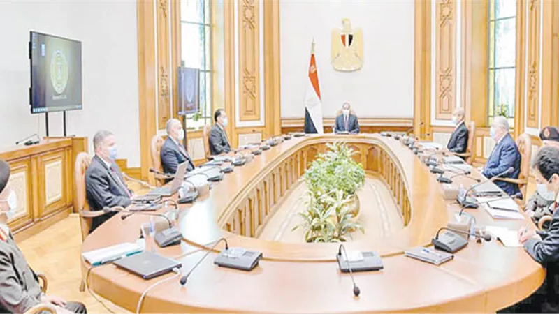 السيسي: النهوض بمنظومة القطن المصري واستعادة مكانته العالمية