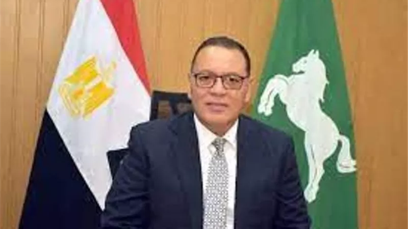 مشروعات لشباب الشرقية بتكلفة مليار و986 مليون جنيه