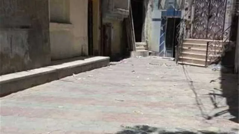 تطوير عشوائيات بلقاس
