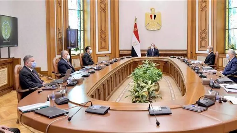 السيسى يوجه باستعادة المكانة العالمية للقطن المصري وإقامة صناعات وطنية تعتمد عليه