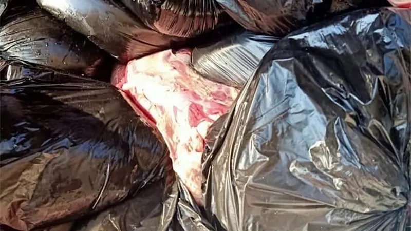 ضبط 9 طن مصنعات دواجن وكبدة ولحوم مجمدة غير صالحة للاستخدام الادمي بالحوامدية والوراق