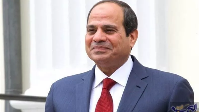 قرار جمهورى من السيسى بشأن انضمام مصر للاتفاقية الجمركية