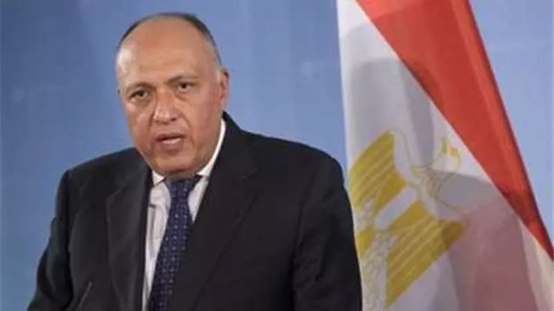 هاتفياً.. شكرى يبحث مع نظيره الأوكراني سُبل تعزيز العلاقات الثنائية