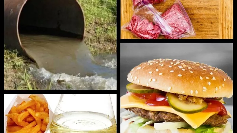 طعام المصريين في خطر.. علماء وخبراء يحذرون من عادات غذائية تهدد صحة الصغار والكبار!!