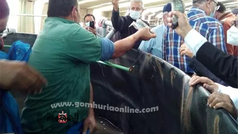 محافظ جنوب سيناء ووزير الزراعة يتفقدان مزرعة الاستزراع السمكي والصوب الزراعية بمدينة نويبع
