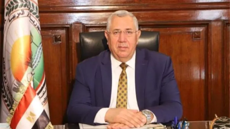 الزراعة: مليون طن صادرات مصر الزراعية خلال شهرين