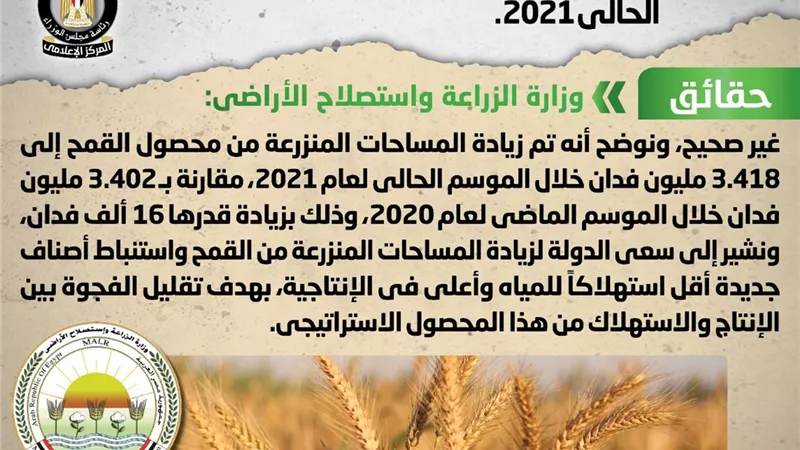 تراجع المساحة المنزرعة من القمح خلال العام الحالي 2021.. 