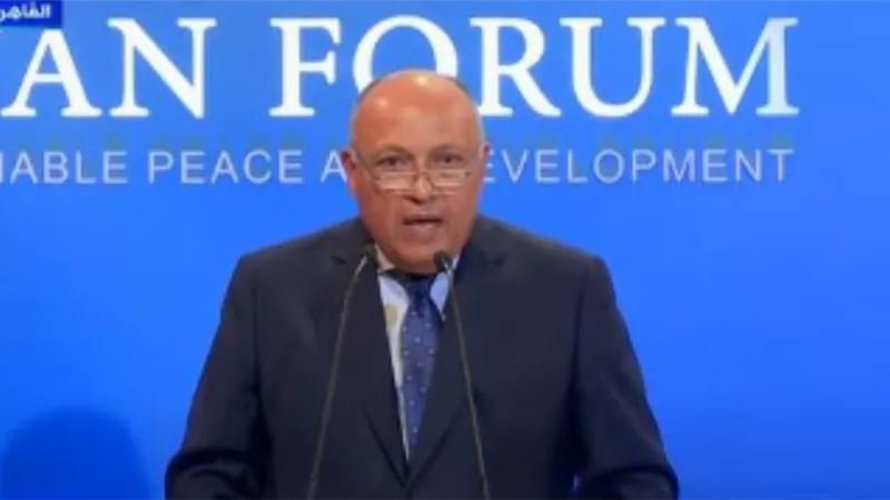 وزير الخارجية : مصر تؤمن بأهمية العمل الافريقي المشترك وساندت تاريخيا حركات التحرر والاستقلال