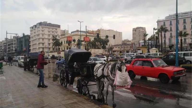 «مائل للدفء على القاهرة والوجه البحرى».. «الأرصاد الجوية» تعلن تفاصيل طقس اليوم