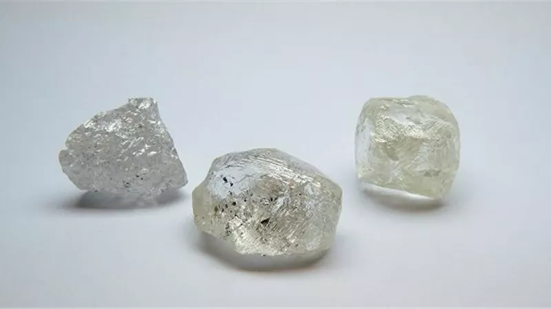 شركة 