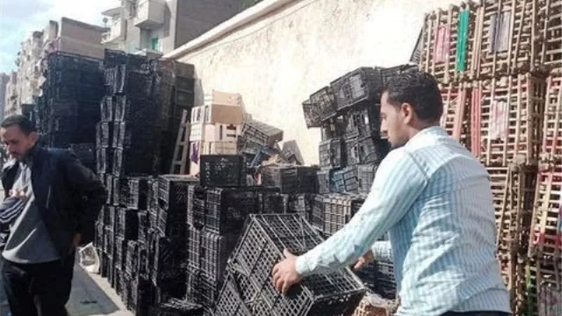 تنفيذ مشروع تطوير الاضائة العامة بالحضرة الجديدة.. بالصور