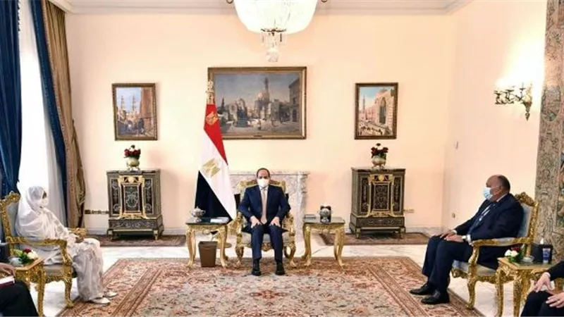 السيسى يؤكد موقف مصر الثابت من حتمية التوصل لاتفاق قانوني ملزم لملء وتشغيل السد