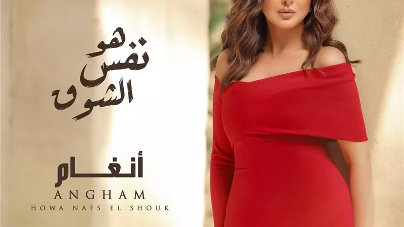 أنغام تطرح أغنية 