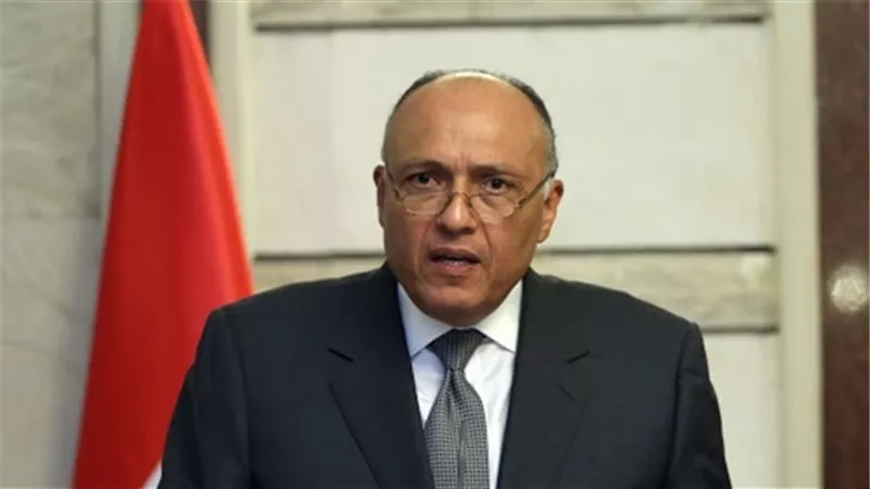 اللجنة الوزارية المعنية بمتابعة التدخلات التركية في الشؤون العربية تعقد اجتماعا برئاسة مصر