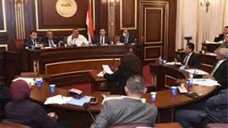 رئيس لجنة الصناعة: الوزيرة وعدت بتقديم حلول لإنقاذ قطاع الأسمنت