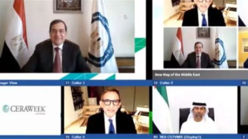 وزير البترول :مصر مستمرة فى تهيئة المناخ للتحول الى مركز اقليمى للطاقة