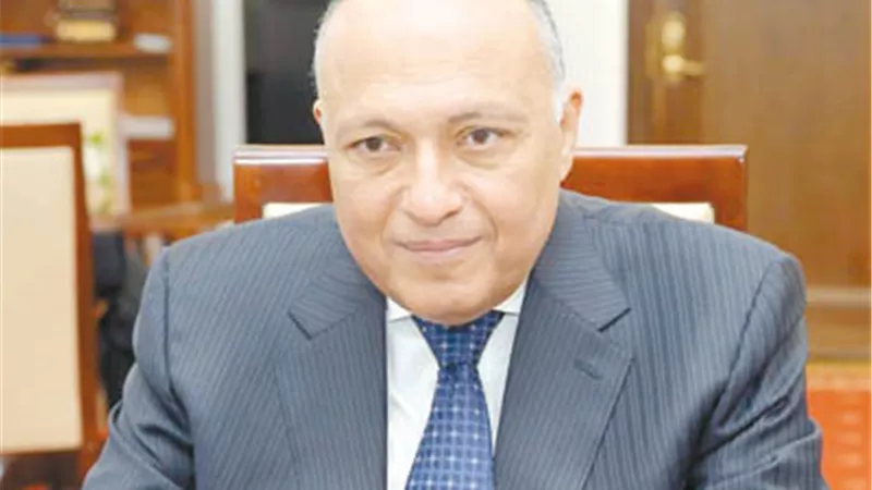 دعم عربي لمصر والسودان في ملف سد النهضة