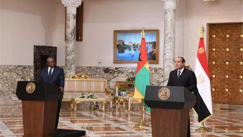 ننشر نص كلمة الرئيس السيسي خلال المؤتمر الصحفي المشترك مع رئيس جمهورية غينيا بيساو