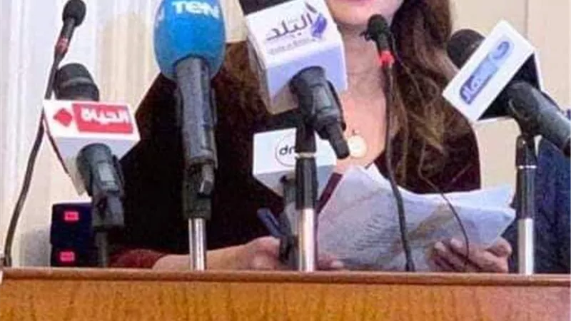 الإعلامية شيرين ربيع مساعدًا لرئيس حزب الوفد لشئون الإعلام
