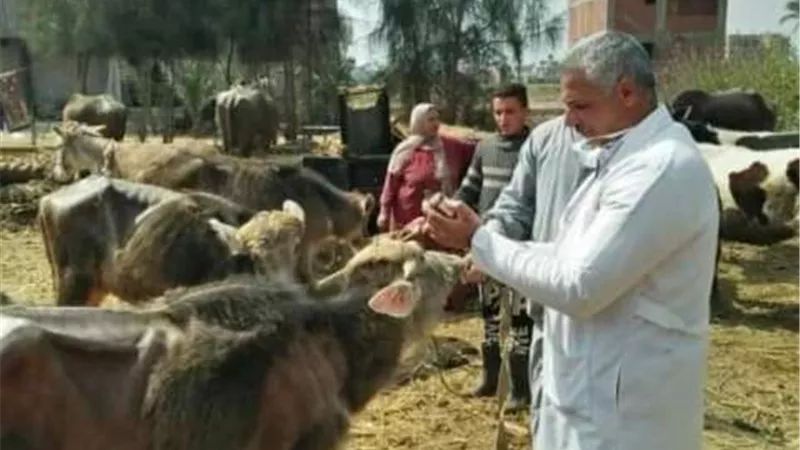جامعة الزقازيق تنظم قافلة طبية بيطرية لقرية الشبانات