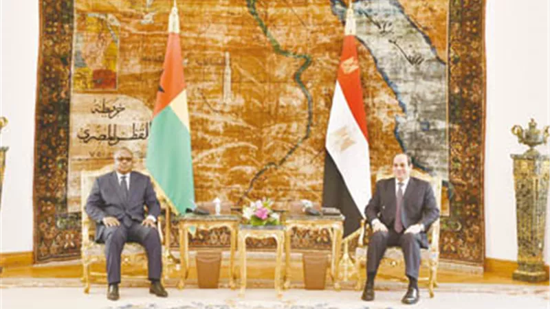 الروابط التاريخية بين مصر وغينيا بيساو ترجع إلي فترات التحرر الوطني في إفريقيا