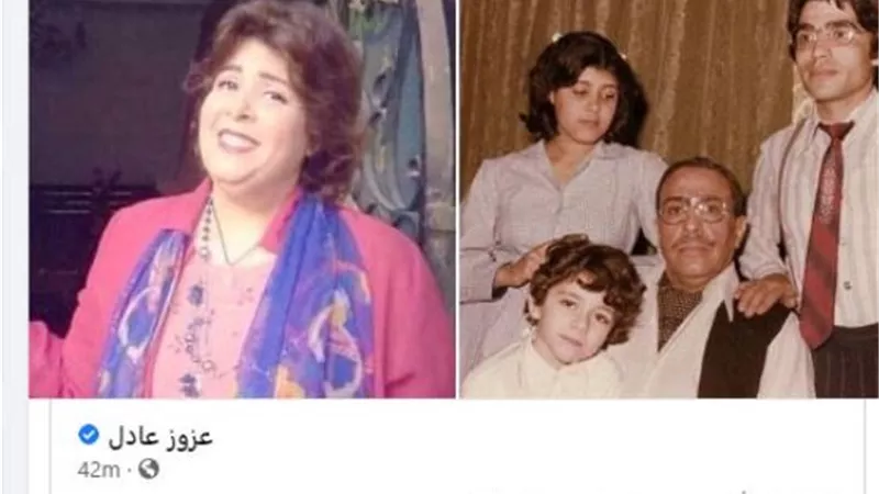 المهن التمثيلية تنعى رحيل ابنة فؤاد المهندس فى 
