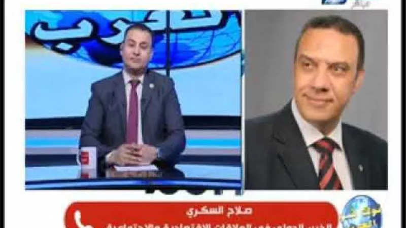 خبير دولى: الدولة المصرية تقف دائمًا بجانب الأشقاء العرب