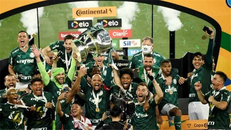 بالميراس يتوج بلقب كأس البرازيل