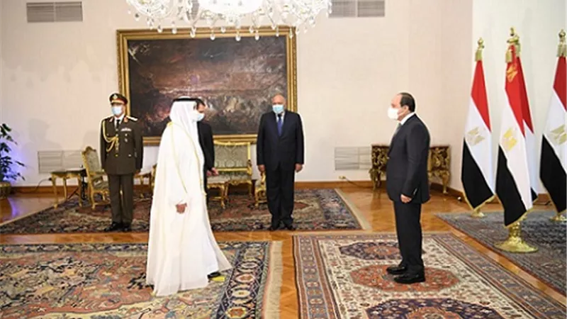 الرئيس السيسي يتسلم أوراق اعتماد سفير الإمارات لدى مصر حمد الشامسي