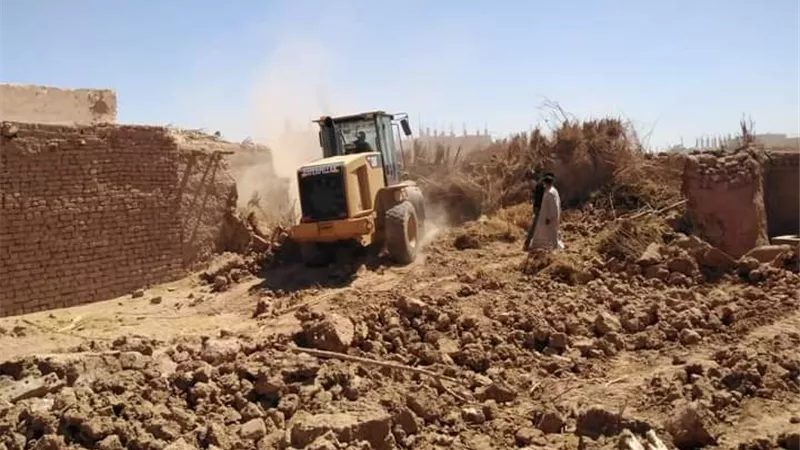ازالة ٣٥ حظيرة ماشية حفاظا على الصحة العامة بالوادى الجديد