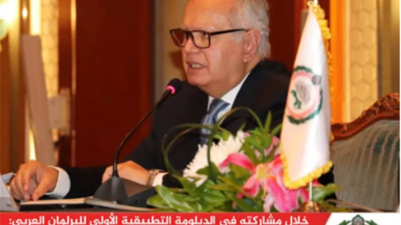 بالفيدبو...السفير محمد العرابي: الدبلوماسية البرلمانية تواجه تحديات عديدة ولابد من نقل الصورة الحقيقية في المحافل البرلمانية الإقليمية والدولية