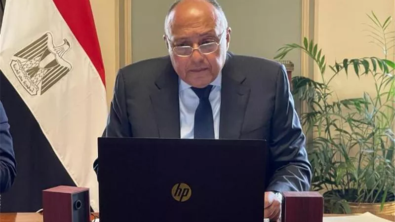 شكري يشارك في قمة مجلس السلم والأمن الإفريقي للتباحث حول قضيتى تغير المناخ والصحراء الغربية