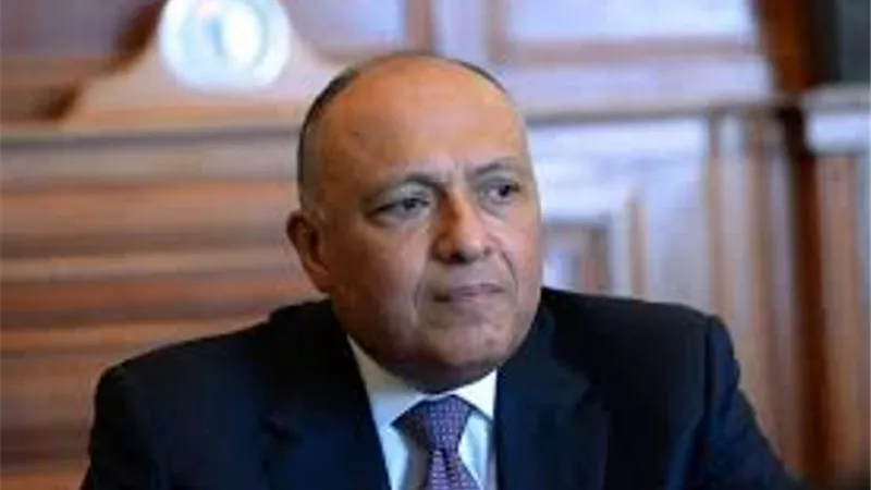 وزير الخارجية يبحث العلاقات الثنائية والملفات الإقليمية مع نظيره الروسى