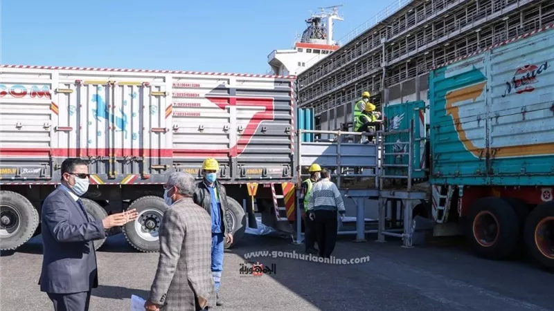 حركة الوارد من البضائع العامة 48429 طن بميناء دمياط