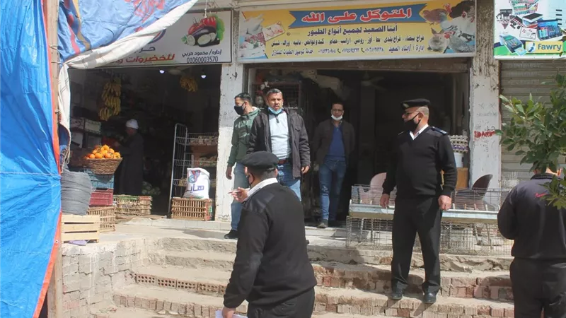 غلق 8 محال و 5 بدرومات مخالفة بمدينة السادات